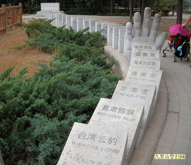 中元节烧纸不能太随意了