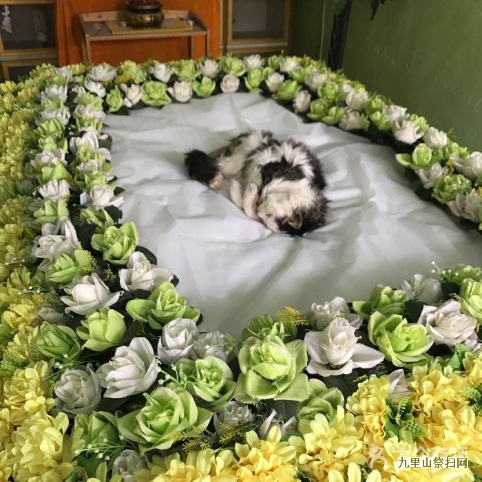 骨灰不易在殡仪馆寄存太久